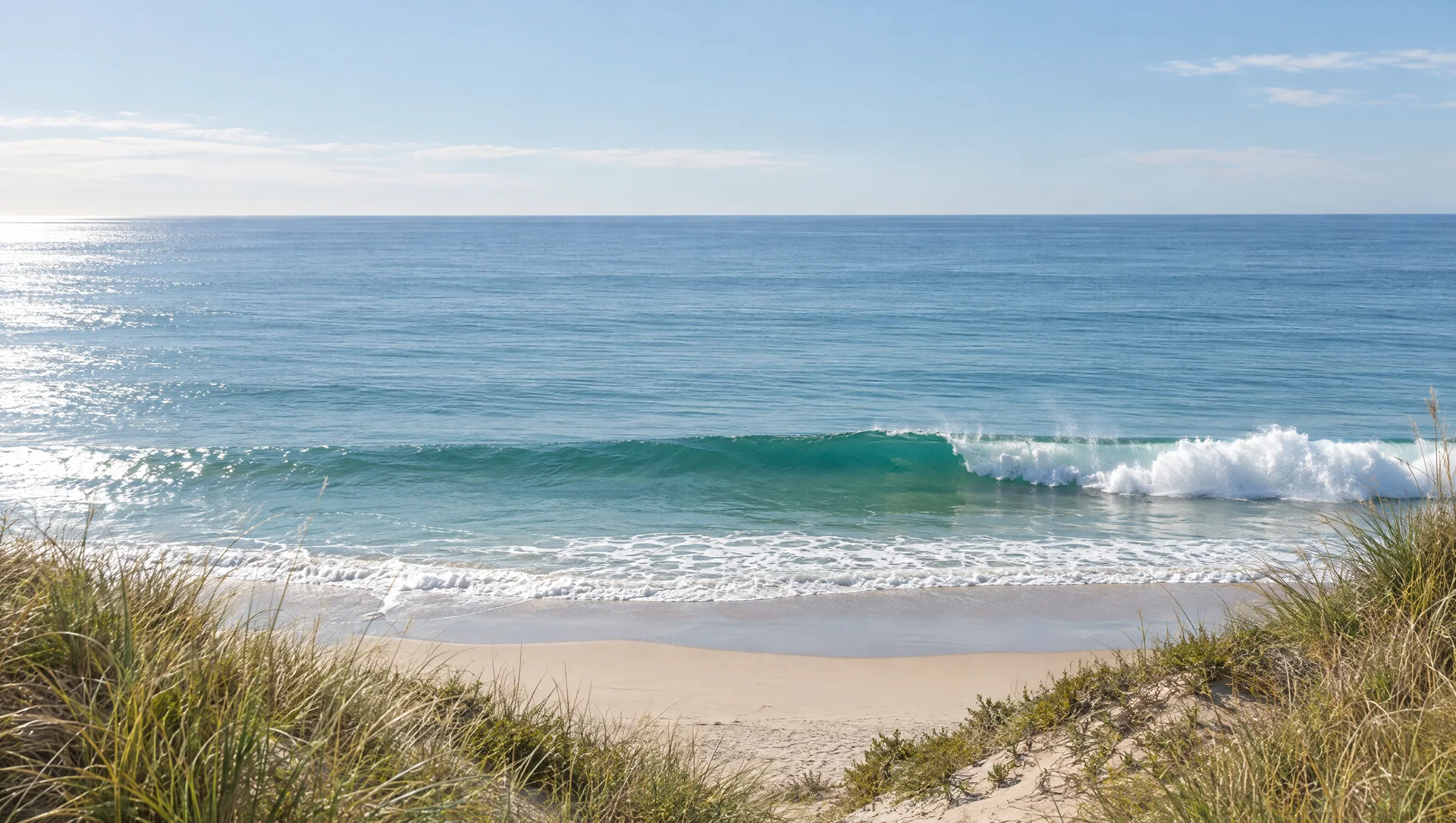 Wave breaking near the shore seen from the top of a dune